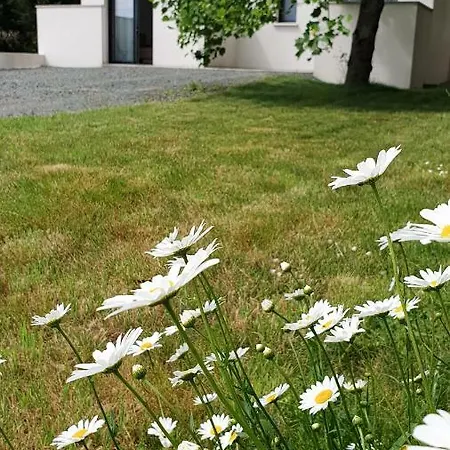 Independant Au Calme 3*