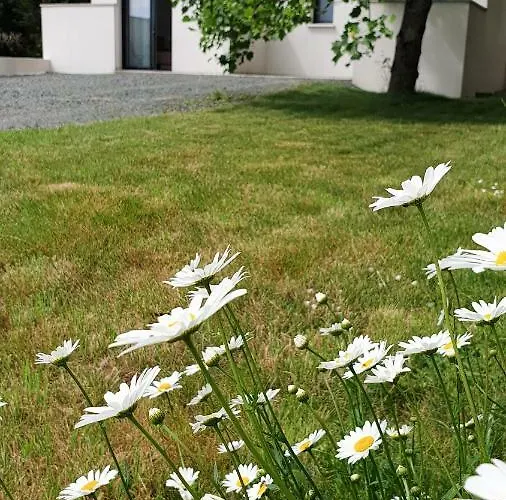 Independant Au Calme 3*